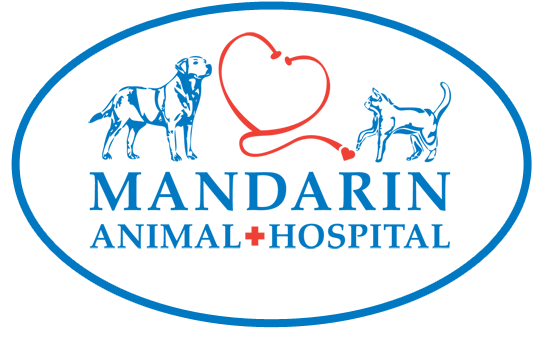 Mandarin Animal Hospital | South Jacksonville, Fl Veterinary Care